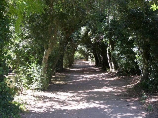 Monte Da Amoreira Elvas Buitenkant foto